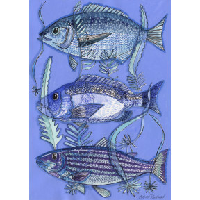 Three fish blue