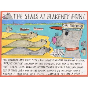 Seals at Blakeney Point. A4.